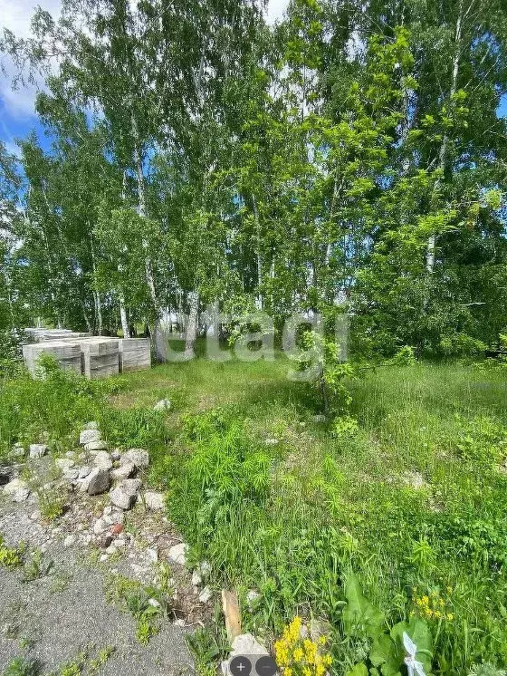 Участок в Амурская область, Благовещенский район, с. Усть-Ивановка ул. ... - Фото 2