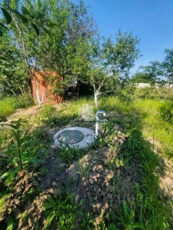 Участок в Белгородская область, Белгородский муниципальный округ, с. ... - Фото 1
