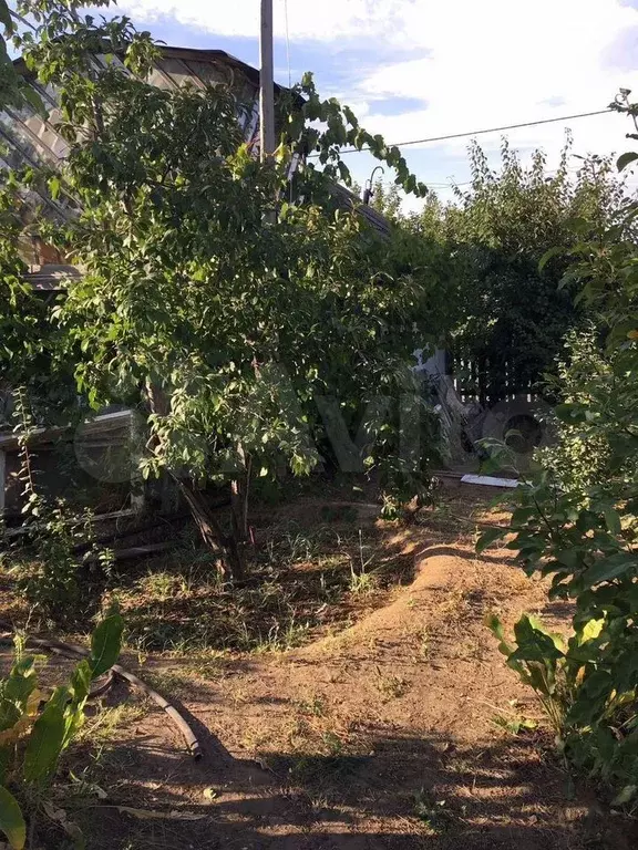 Дача 40 м на участке 8 сот. - Фото 0