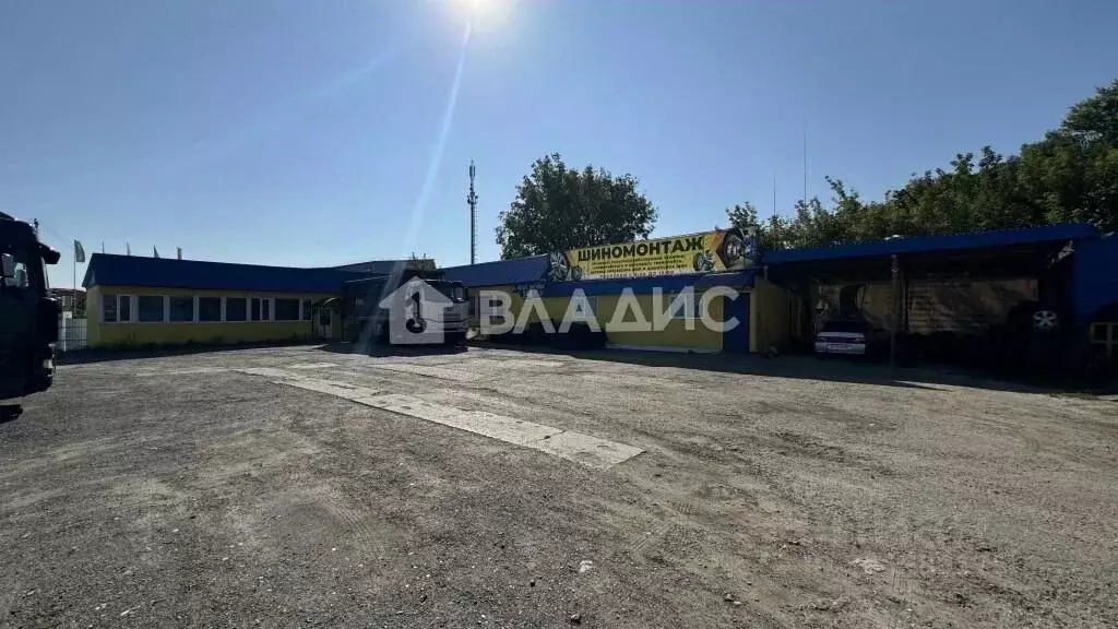 Торговая площадь в Пензенская область, Пенза ул. 40 лет Октября, 24В ... - Фото 1