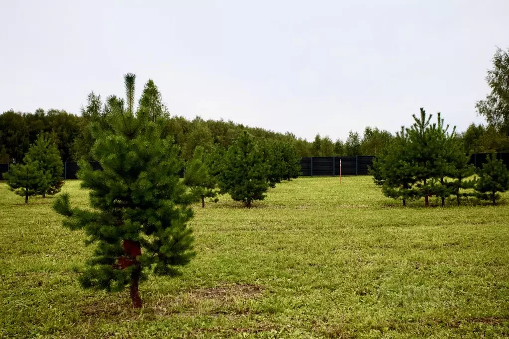 Участок в Тульская область, Заокский район, Малаховское с/пос, Нова ... - Фото 1