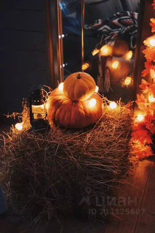 Дом в Ленинградская область, Волховский район, Потанинское с/пос, д. ... - Фото 2