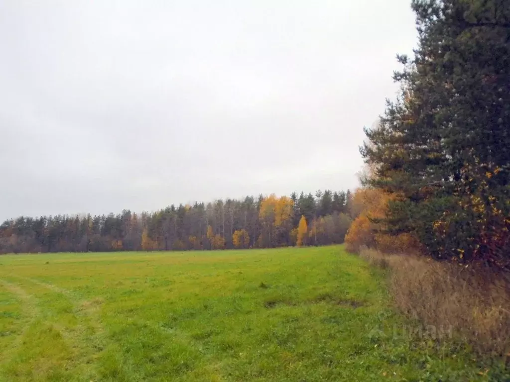 Участок в Ленинградская область, Выборгский район, Красносельское ... - Фото 0