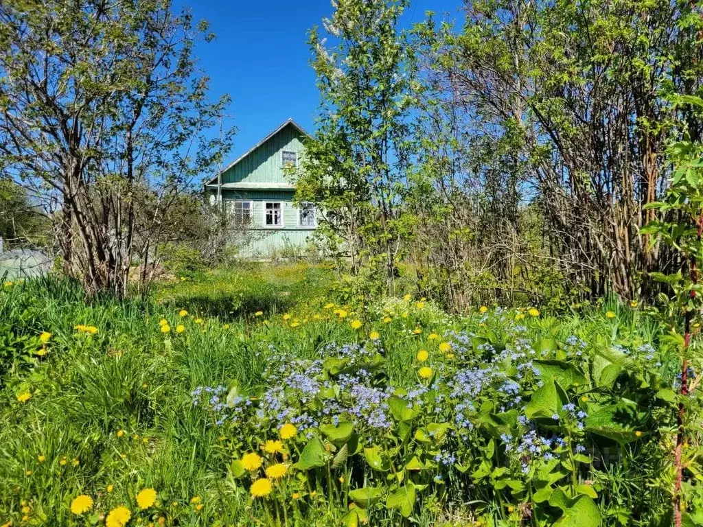 Дом в Новгородская область, Любытинский муниципальный округ, ... - Фото 1