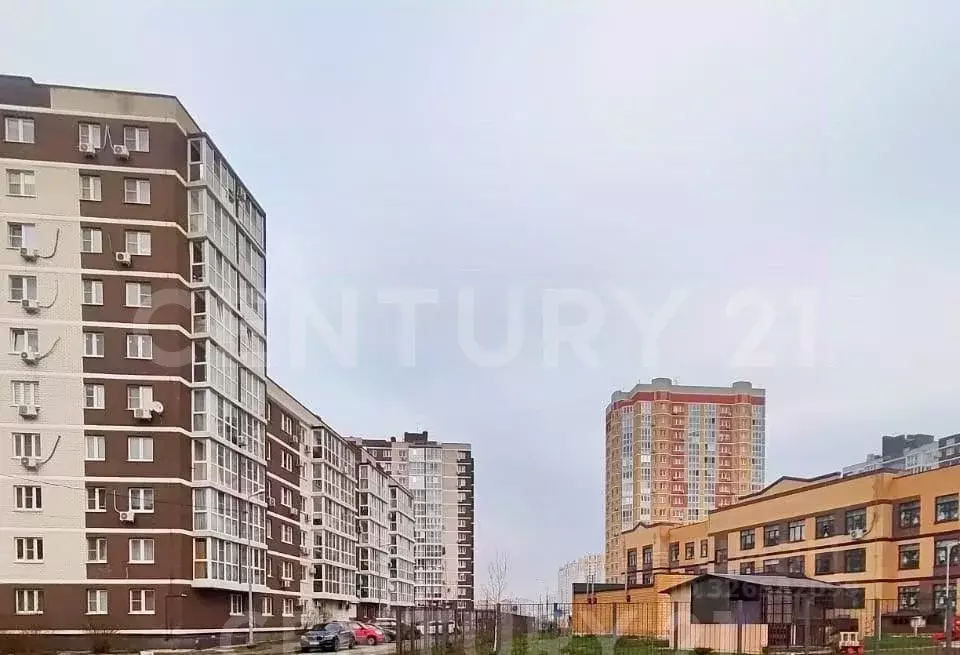 1-к кв. Липецкая область, Липецк ул. И.В. Свиридова, 10 (54.3 м) - Фото 1