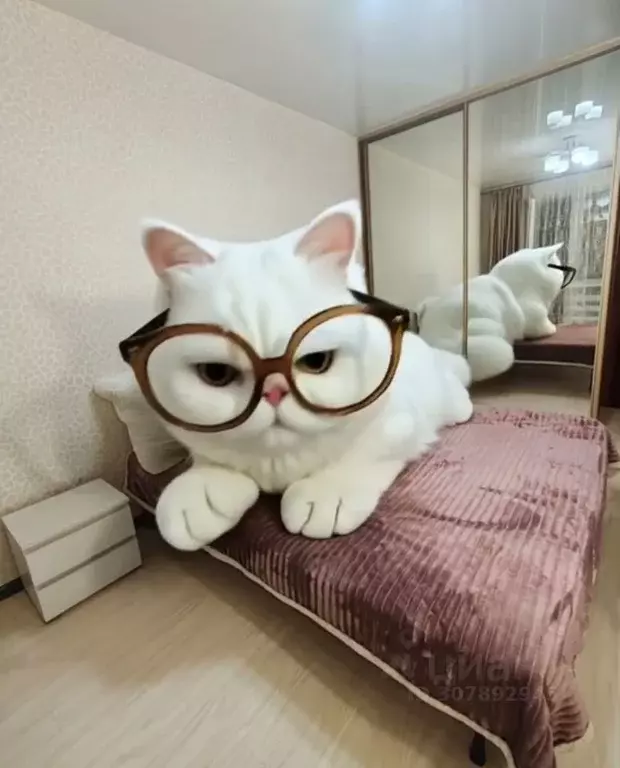 2-к кв. Приморский край, Владивосток ул. Адмирала Угрюмова, 7 (55.0 м) - Фото 1