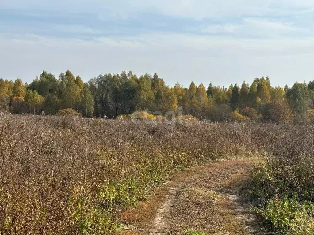 Участок в Марий Эл, Йошкар-Ола городской округ, д. Акшубино  (9.5 ... - Фото 0