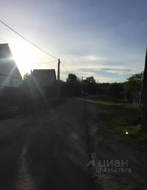 Участок в Воронежская область, Рамонский район, с. Лопатки ... - Фото 1