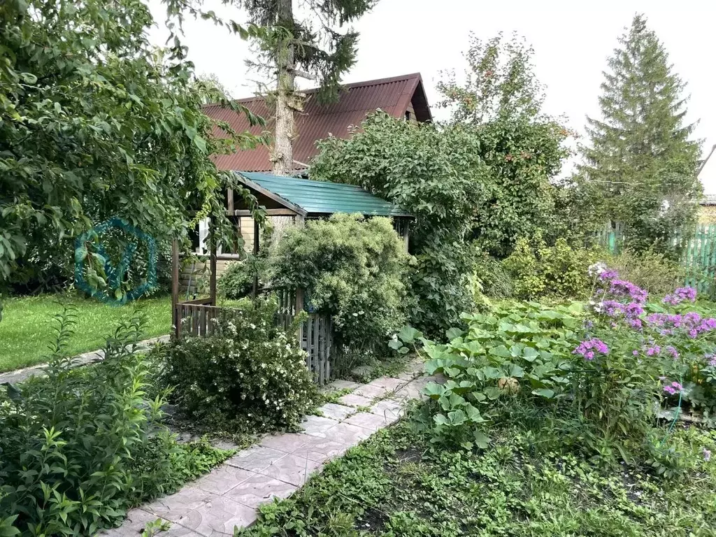 Дом в Омская область, Омск Лотос СНТ, аллея 5-я, 117 (70 м) - Фото 1