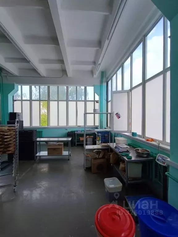 Помещение свободного назначения в Московская область, Люберцы ул. ... - Фото 2