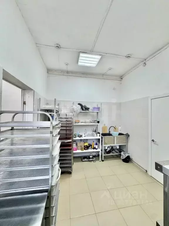 Помещение свободного назначения в Воронежская область, Рамонь рп ул. ... - Фото 1