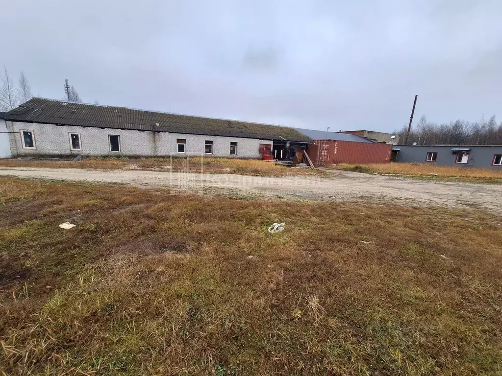 Помещение свободного назначения в Владимирская область, Радужный кв ... - Фото 1