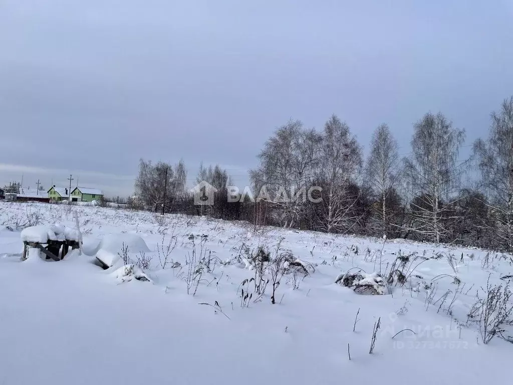 Участок в Нижегородская область, Нижний Новгород д. Подвалиха, ул. ... - Фото 1