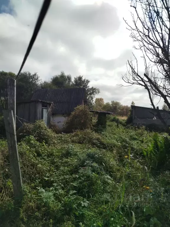 Дом в Хабаровский край, Хабаровский район, с. Галкино ул. Мира, 12 (49 ... - Фото 2