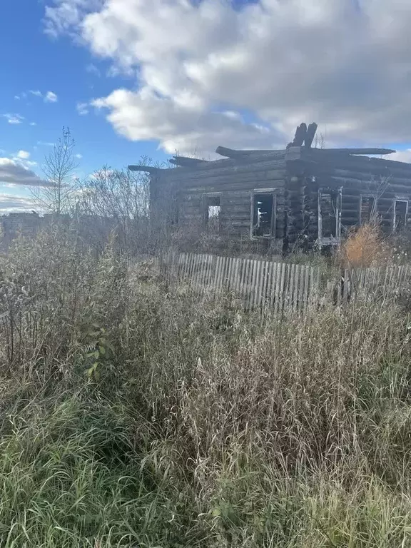 Участок, 20 сот., поселения (ижс) - Фото 1