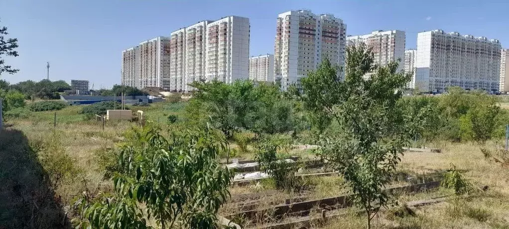 Участок в Ростовская область, Ростов-на-Дону Защитник садовое ... - Фото 1