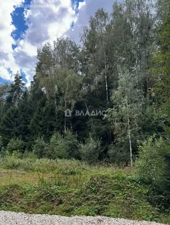 Участок в Московская область, городской округ Ступино, деревня ... - Фото 2