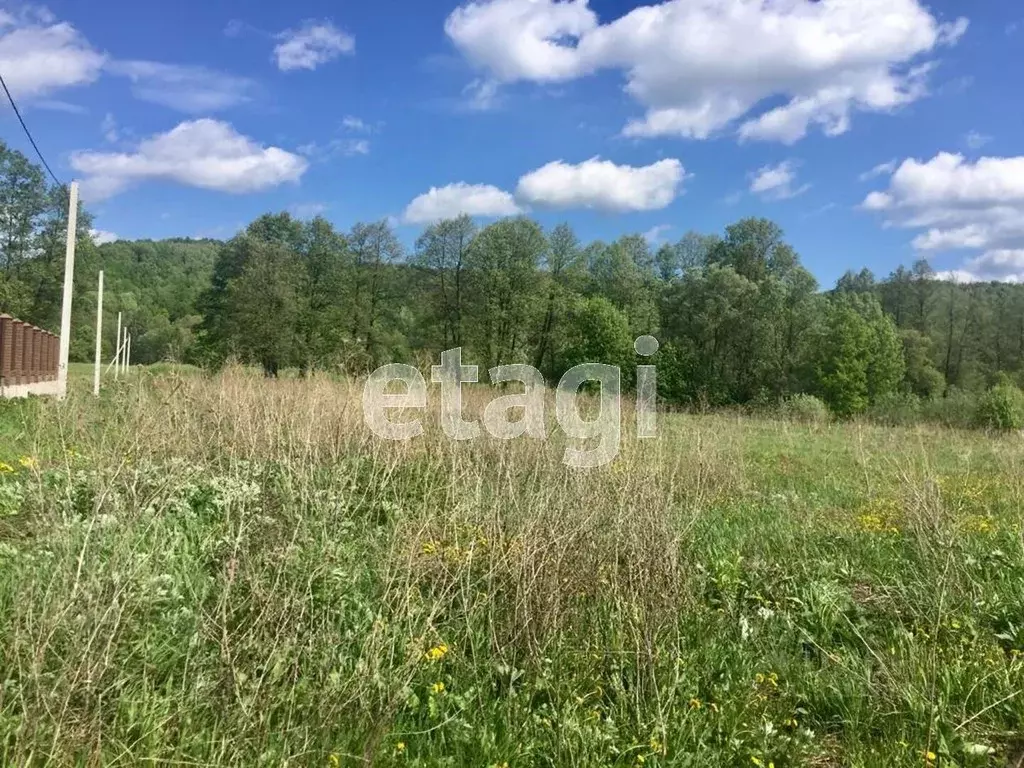 Участок в Мордовия, Кочкуровский район, с. Мурань  (20.0 сот.) - Фото 1