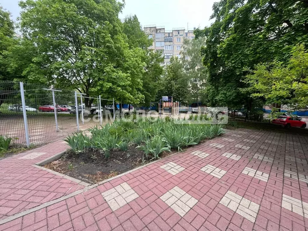 3-к кв. Белгородская область, Белгород ул. Губкина, 22 (60.9 м) - Фото 1