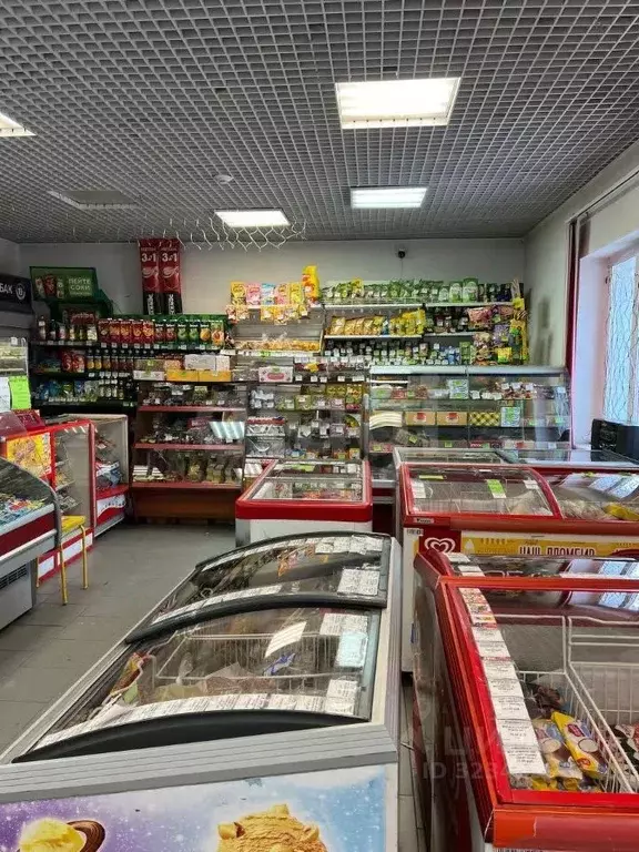 Дом в Алтайский край, Барнаул проезд Ташкентский, 18А (230 м) - Фото 1