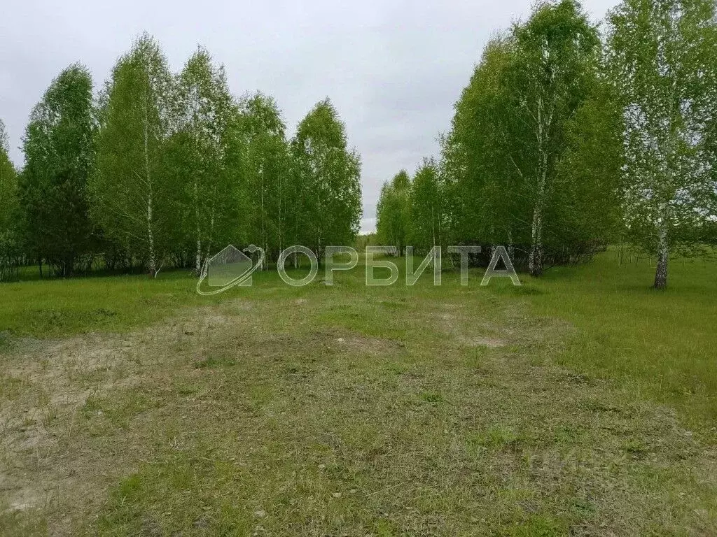Участок в Тюменская область, Нижнетавдинский район, Царицыно СНТ  ... - Фото 0
