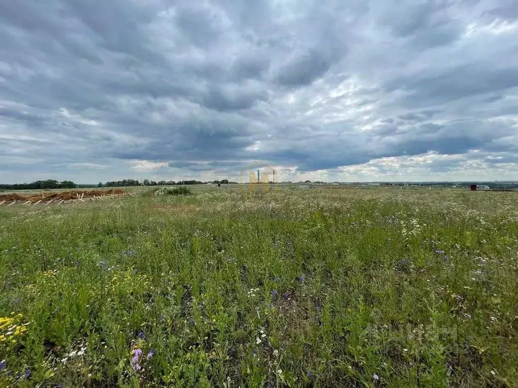 Участок в Белгородская область, Белгородский район, Крутологское ... - Фото 2