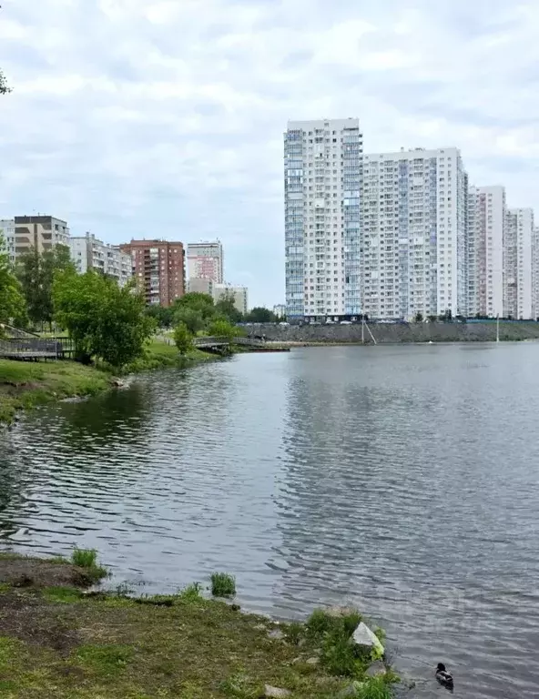 1-к кв. Красноярский край, Красноярск ул. Анатолия Гладкова, 14 (30.5 ... - Фото 0
