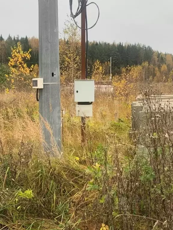 Участок в Костромская область, Костромской район, Бакшеевское с/пос, ... - Фото 1
