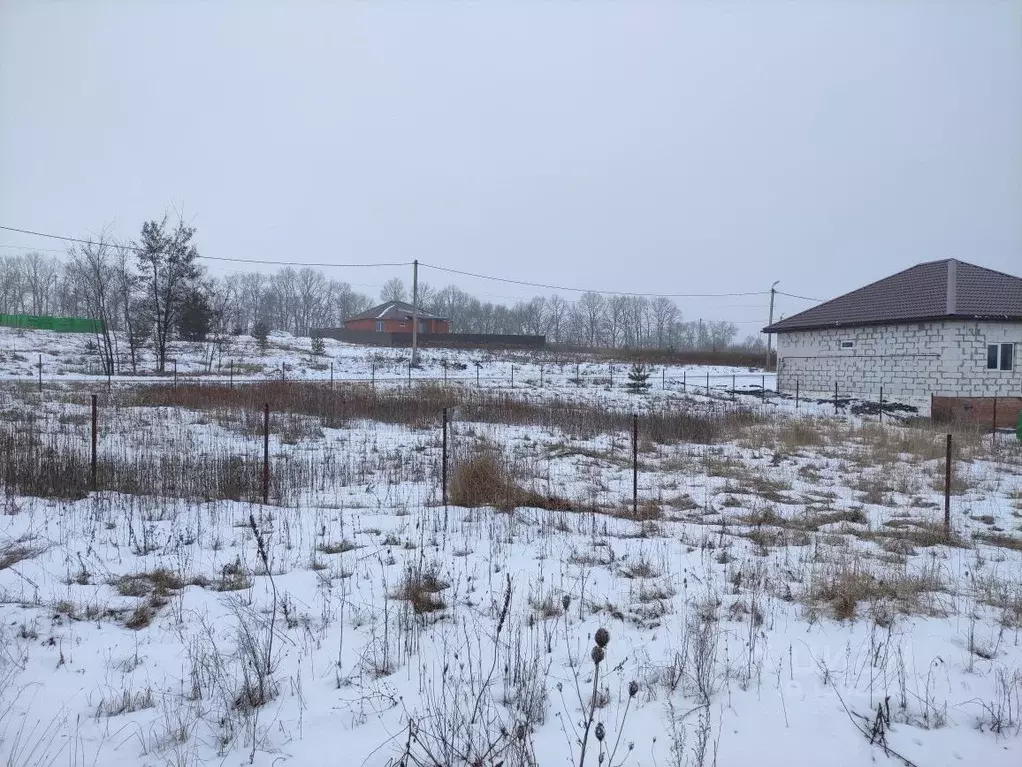 Участок в Белгородская область, Яковлевский городской округ, Томаровка ... - Фото 1