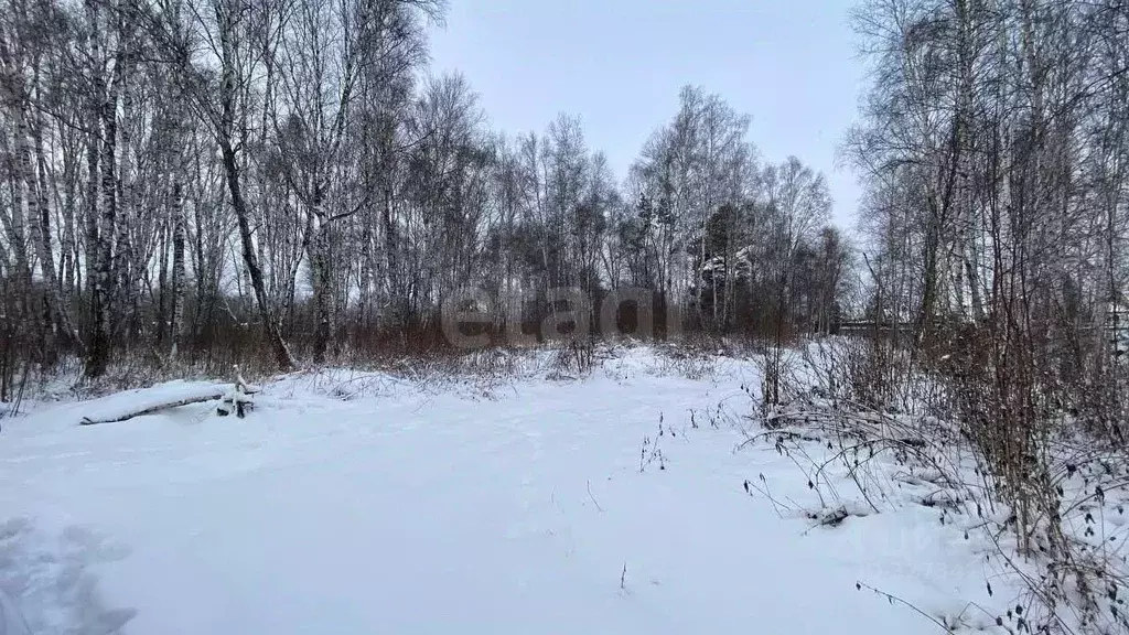 Участок в Тюменская область, Тюмень Садовое товарищество Липовый ... - Фото 1