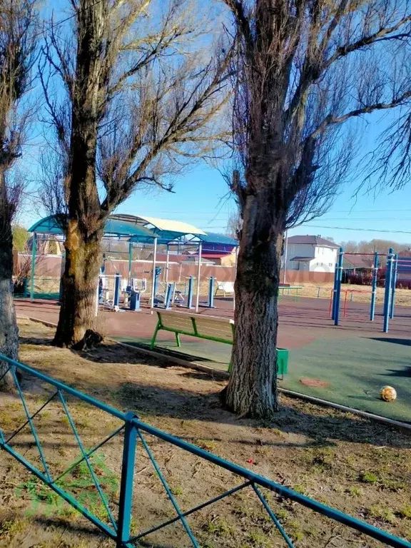 1-к кв. Московская область, Раменский муниципальный округ, с. Михеево ... - Фото 1