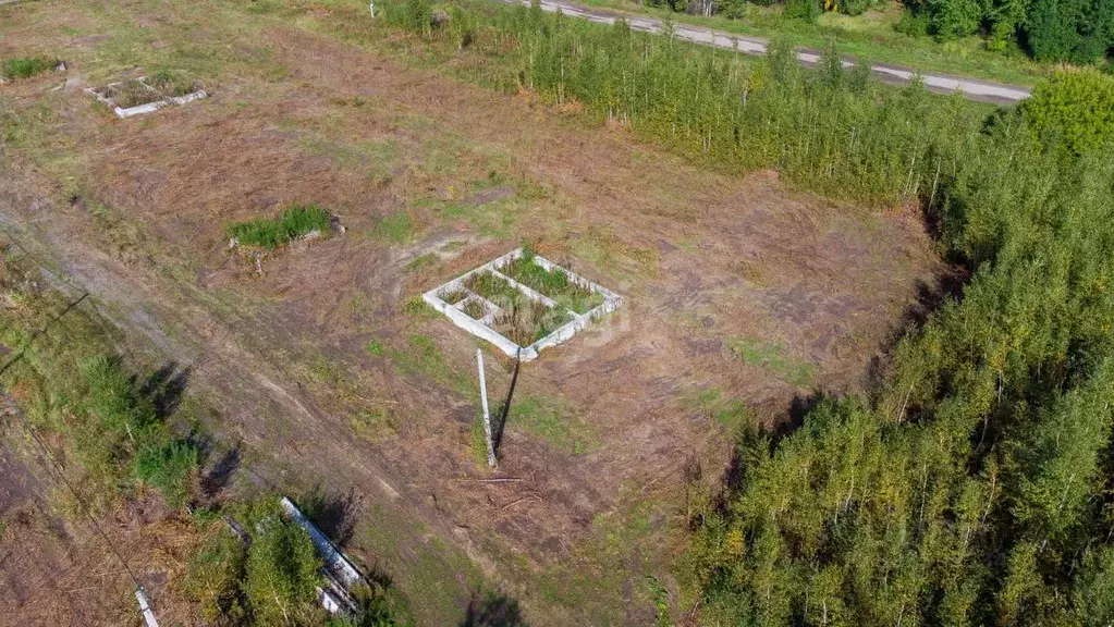 Участок в Тюменская область, Нижнетавдинский муниципальный округ, с. ... - Фото 1