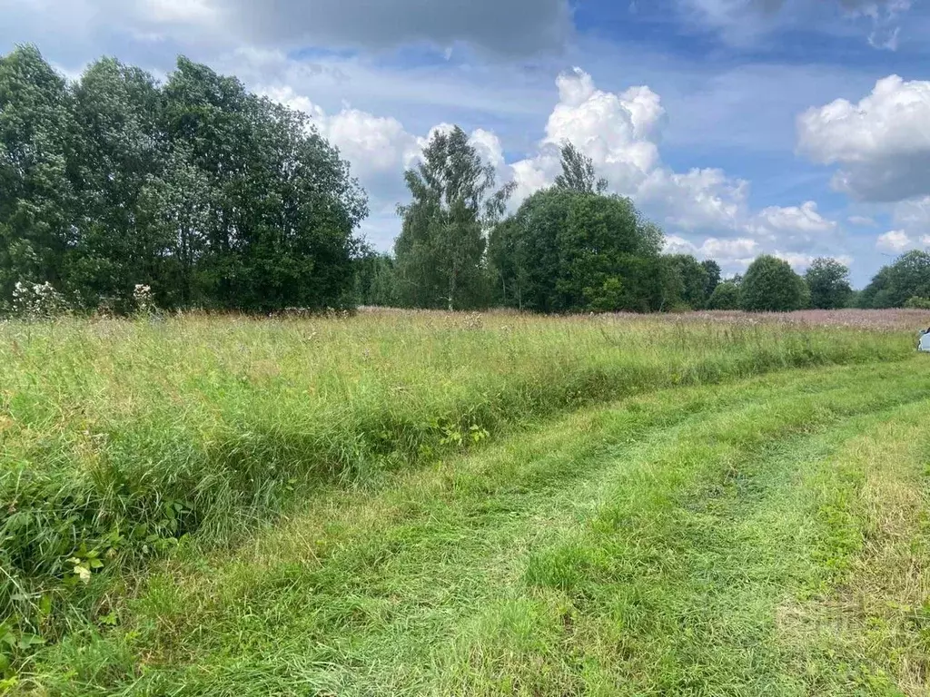 Участок в Ленинградская область, Волосовский район, Большеврудское ... - Фото 2