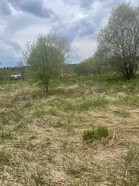 Участок в Московская область, Наро-Фоминский городской округ, д. ... - Фото 1