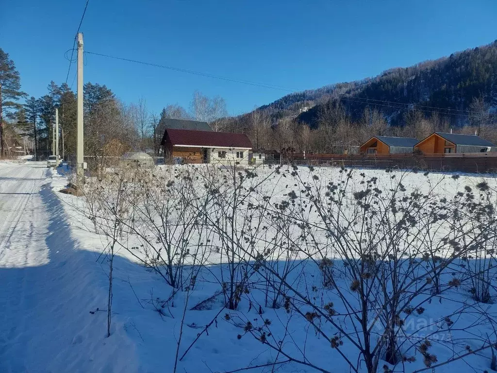 Участок в Алтай, Майминский район, Соузгинское с/пос, пос. Черемшанка ... - Фото 2