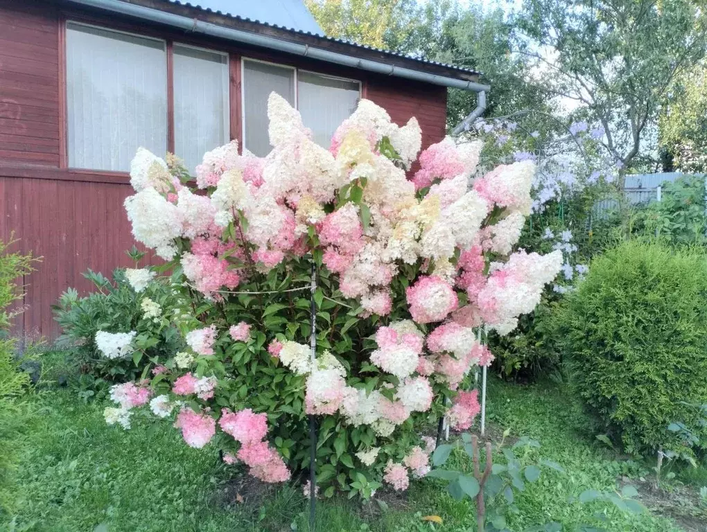 Дом в Московская область, Наро-Фоминский городской округ, д. Малые ... - Фото 1