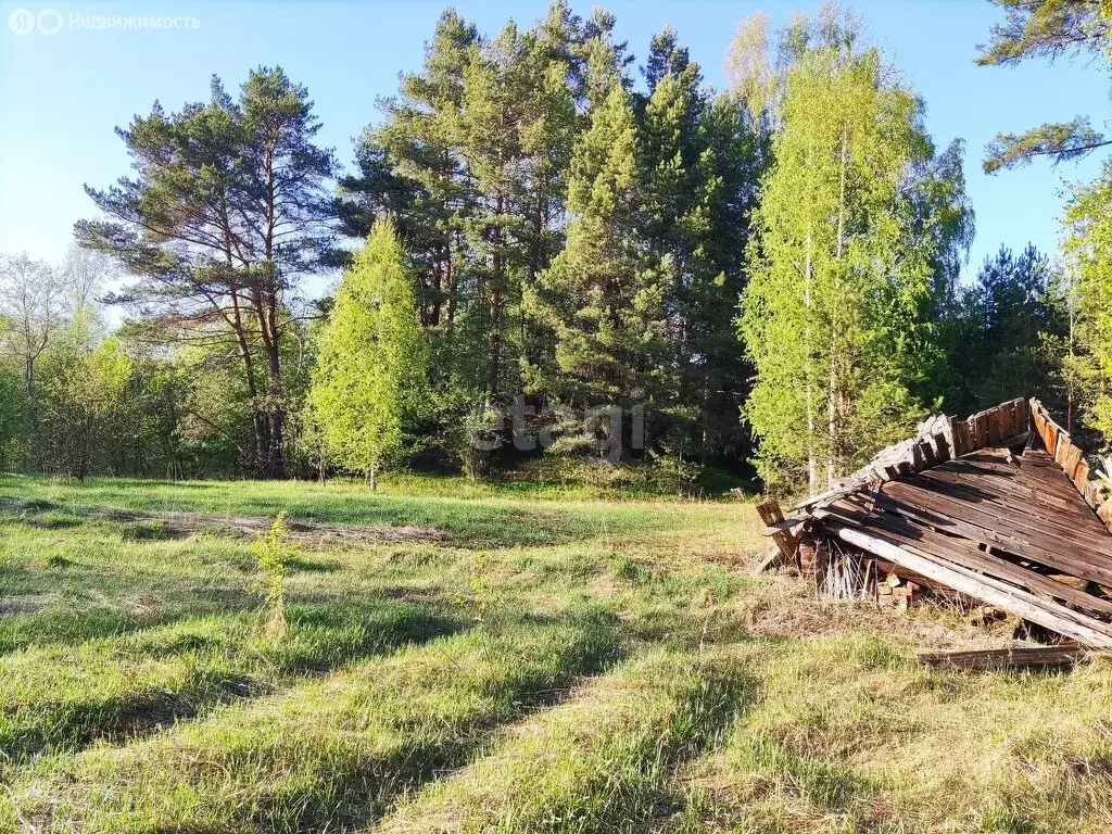 Участок в Новгородская область, Любытинское сельское поселение, ... - Фото 1