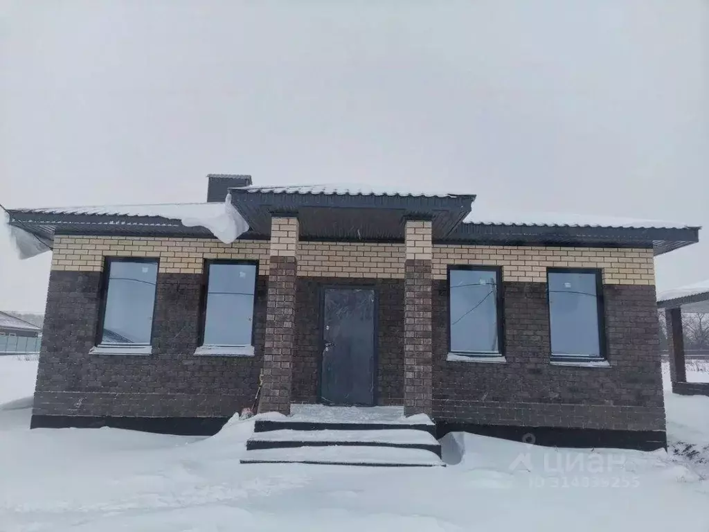 Дом в Пензенская область, с. Бессоновка, Новая Бессоновка кп  (85 м) - Фото 1