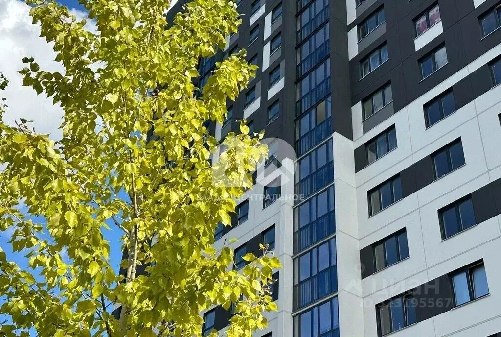 1-к кв. Новосибирская область, Новосибирск Спортивная ул., 41 (40.7 м) - Фото 0