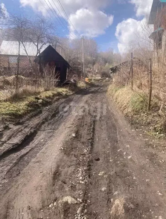 Участок в Алтай, Горно-Алтайск Березовая роща садоводческое ... - Фото 1