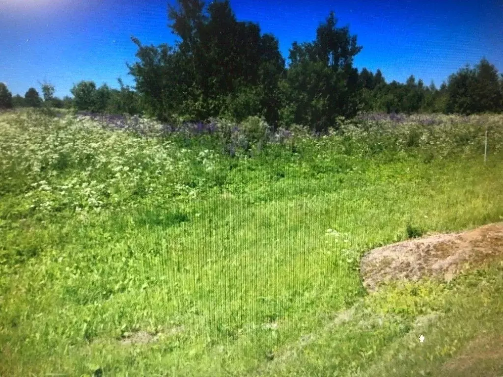 Участок в Смоленская область, Смоленский муниципальный округ, д. ... - Фото 1