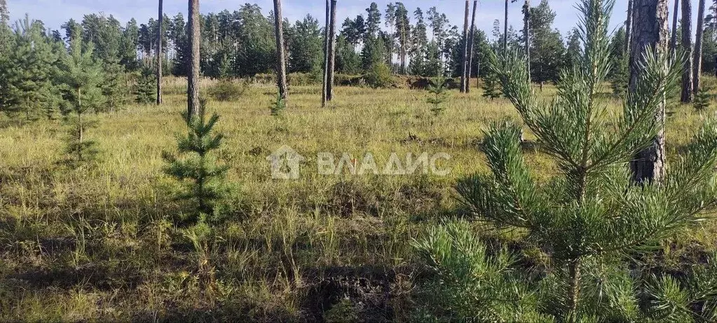 Участок в Бурятия, Улан-Удэ ул. Энергетическая (7.31 сот.) - Фото 0