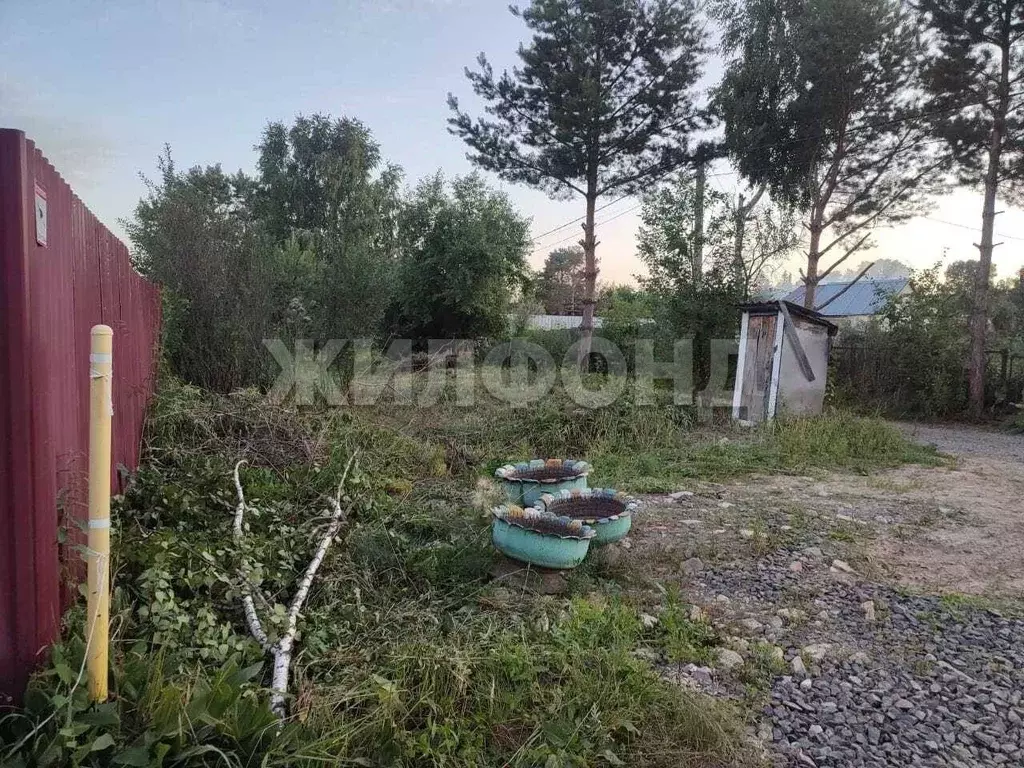 Участок в Новосибирская область, Новосибирск  (4.0 сот.) - Фото 1