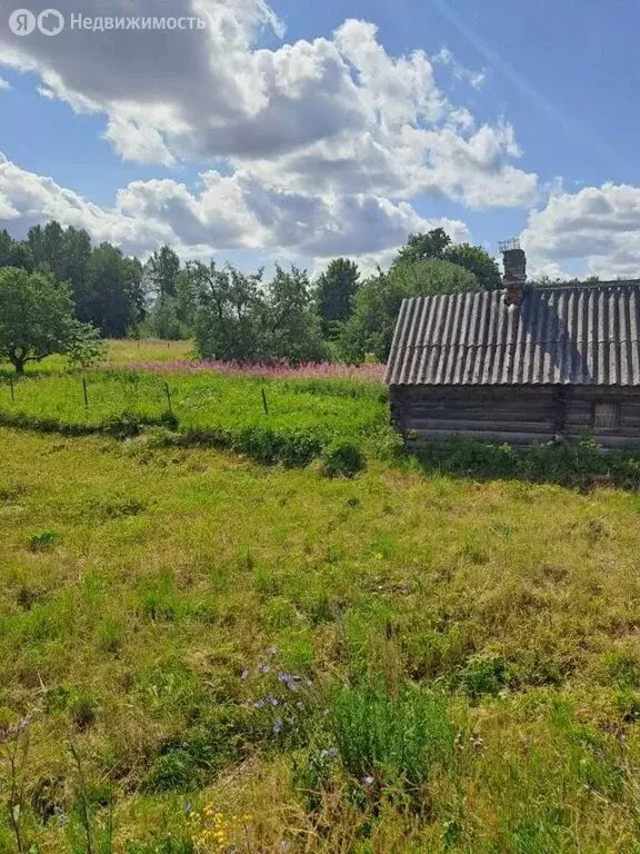 Участок в Волосовский район, Большеврудское сельское поселение, ... - Фото 0