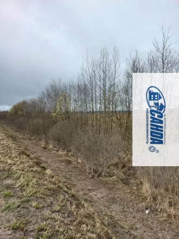 Участок в Тверская область, Калининский муниципальный округ, д. ... - Фото 1