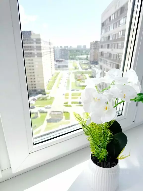 1-к кв. Ленинградская область, Мурино Всеволожский район, ул. Шоссе в ... - Фото 1