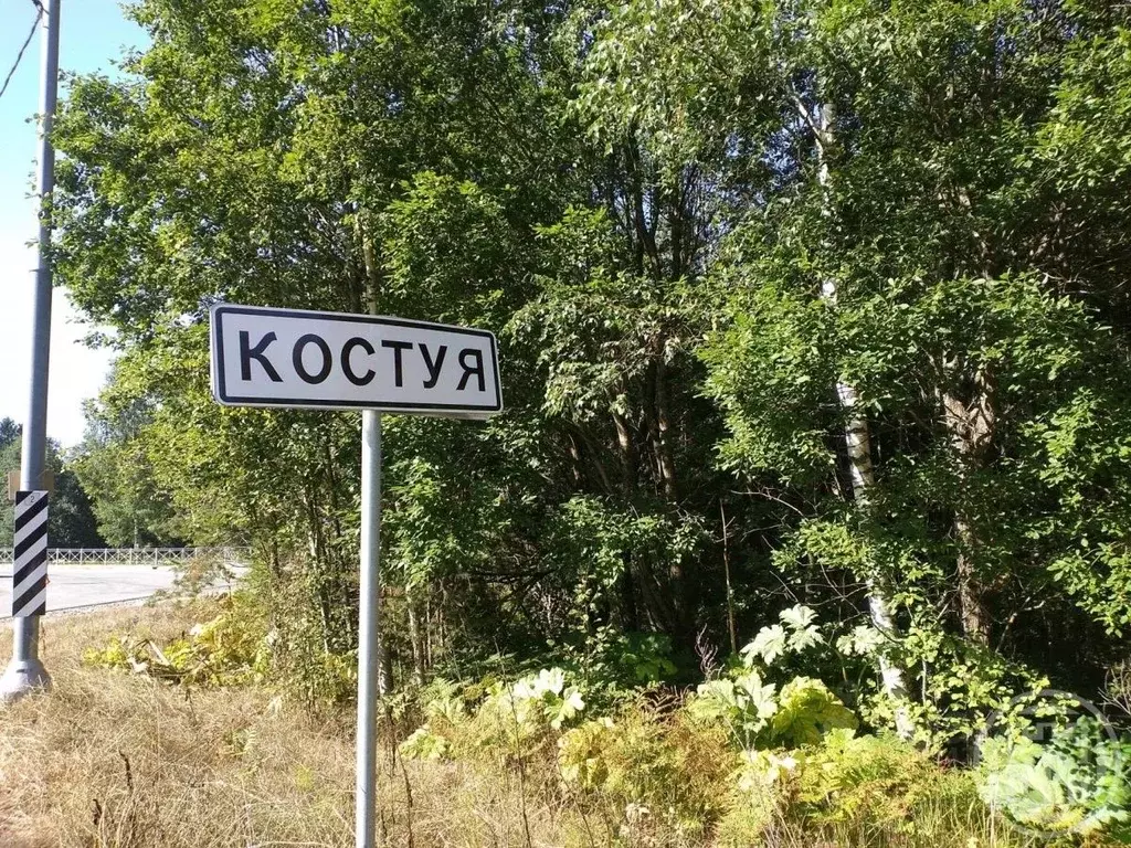 Участок в Ленинградская область, Тосненский район, Любанское городское ... - Фото 1