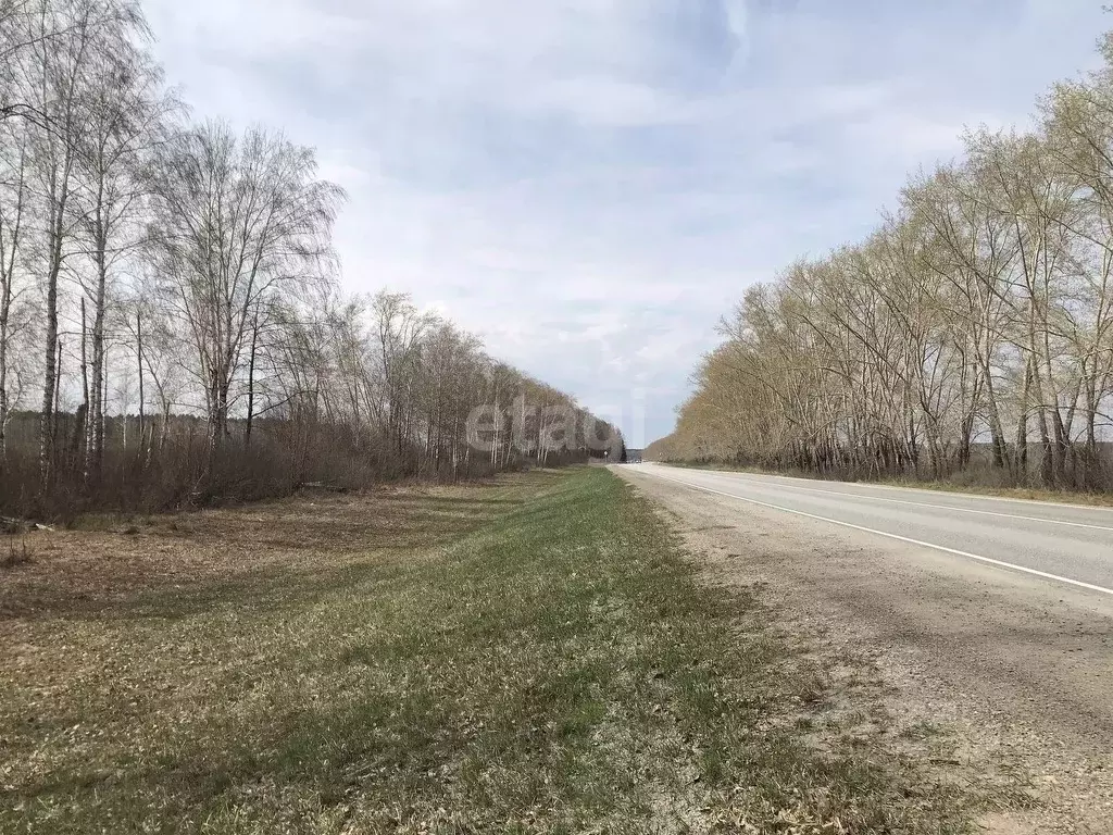 Участок в Свердловская область, Белоярский городской округ, с. ... - Фото 1