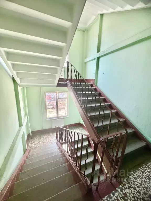 3-к кв. Санкт-Петербург ул. Новоселов, 43 (61.2 м) - Фото 2