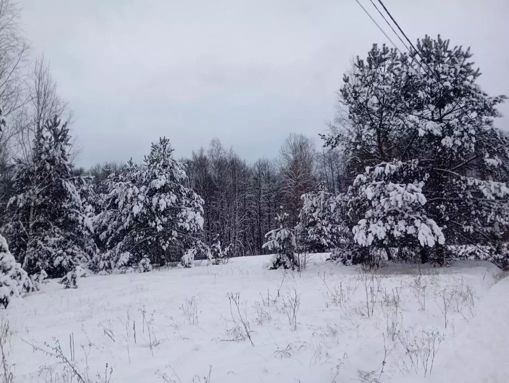 Участок в Московская область, Серпухов городской округ, д. ... - Фото 1